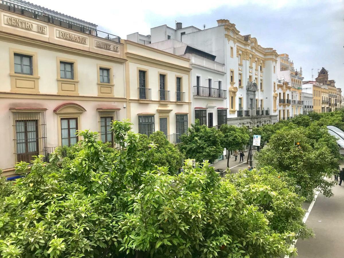 Apartmán Apartamento Centro De Jerez Jerez de la Frontera Exteriér fotografie